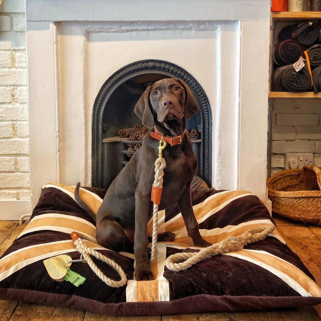 - Winter dog thick down jacketCreature Clothes Union Jack Dog Doza Bed In Tan, Brown & Cream