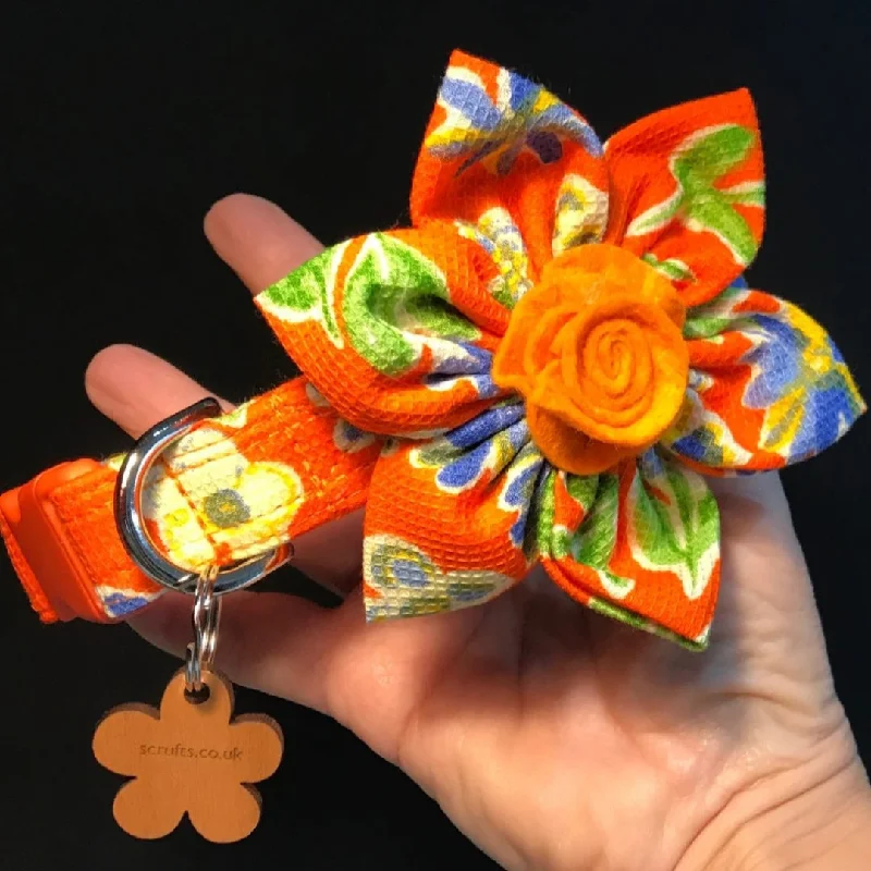 -Anti-scratch sofa protective coverMarigold Floral Dog Collar with Detachable Flower -Anti-scratch sofa protective coverMarigold Floral Dog Collar with Detachable Flower