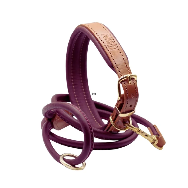 - Pet diabetes prescription foodTan & Merlot Luxury Padded Leather Dog Collar and Rolled Lead Set by Dogs & Horses