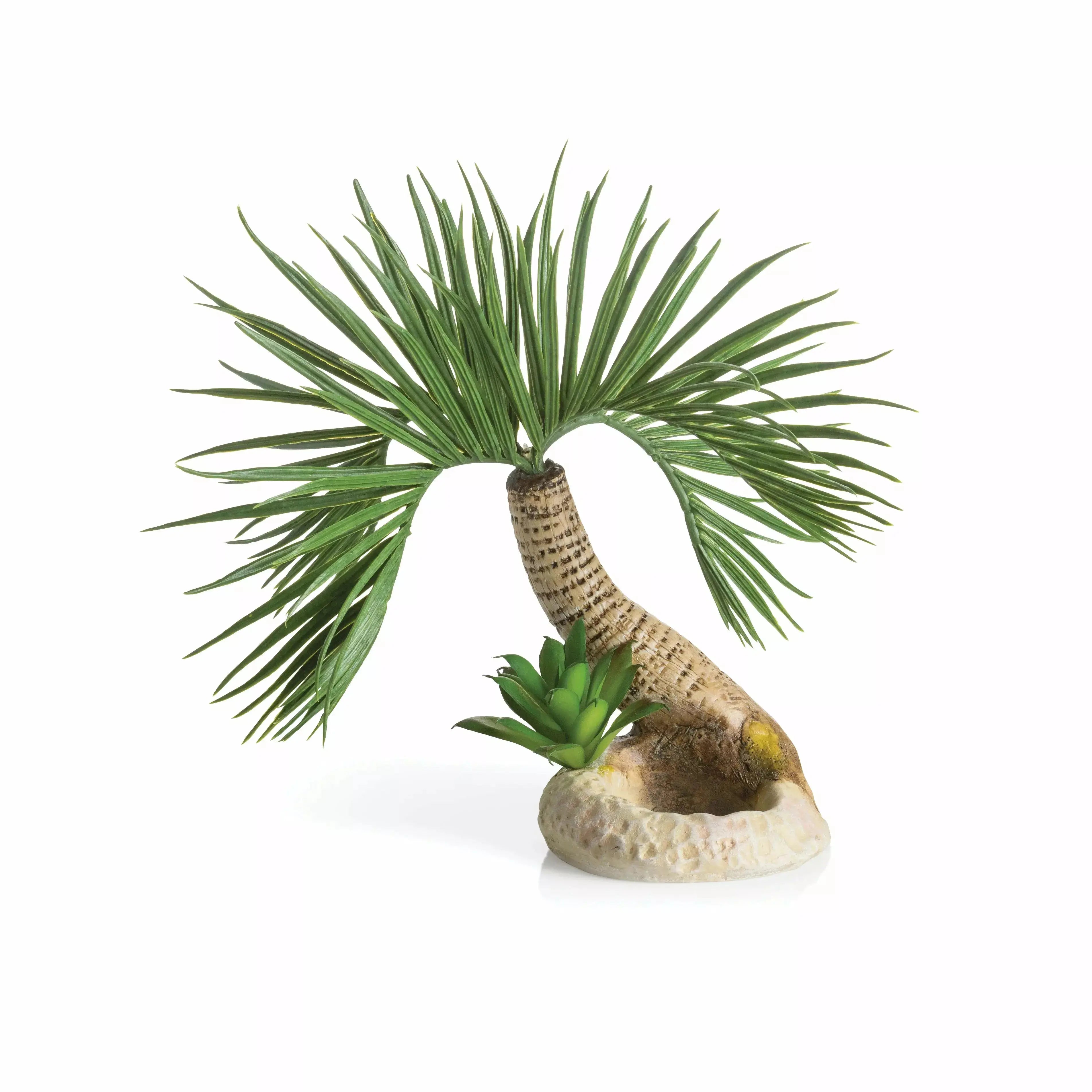 - Cat hair ball removal and hair removal creambiOrb Seychelles Palm Tree Sculpture Aquarium Decor