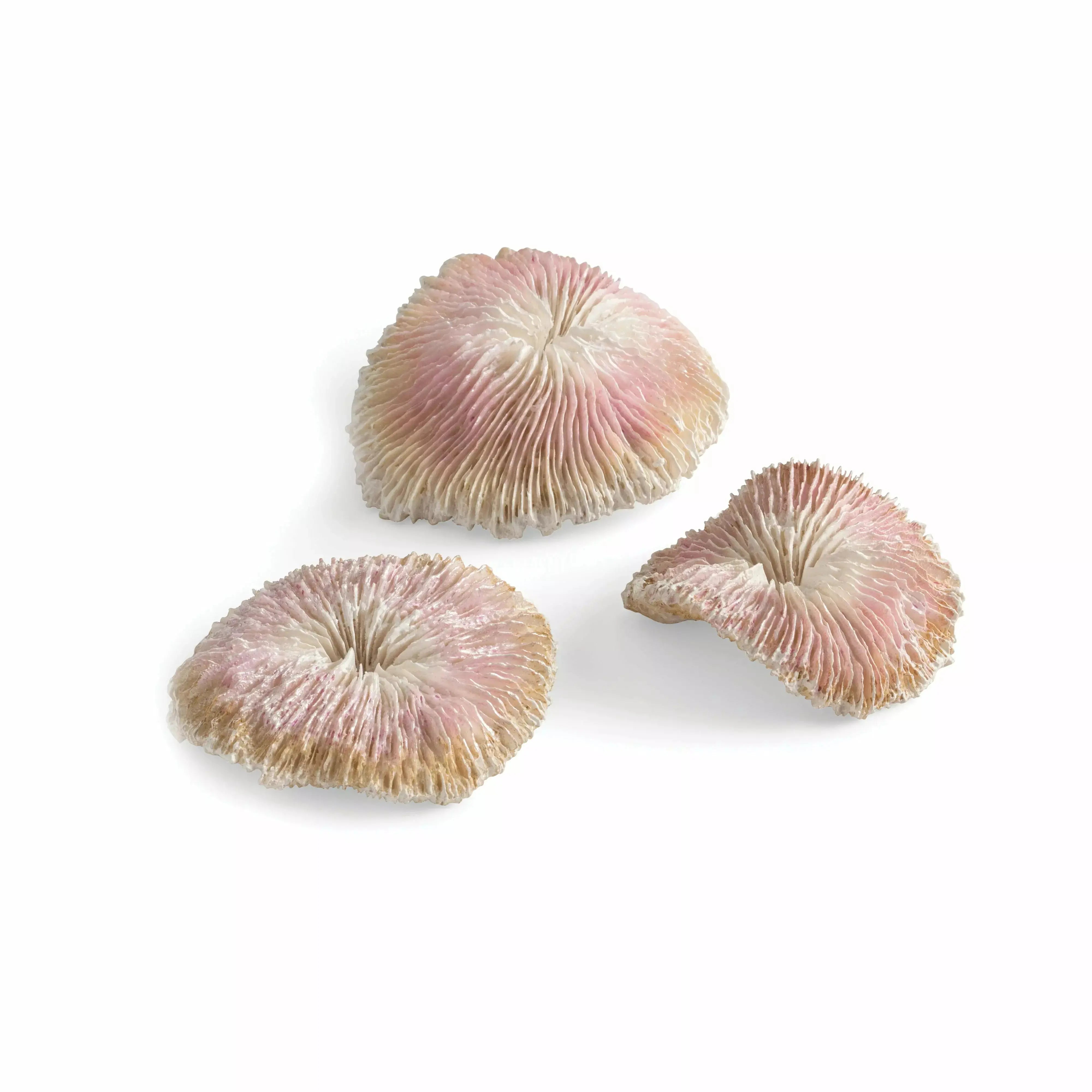 -Anti-scratch sofa protective coverbiOrb Seychelles Plate Coral Aquarium Decor Set of 3