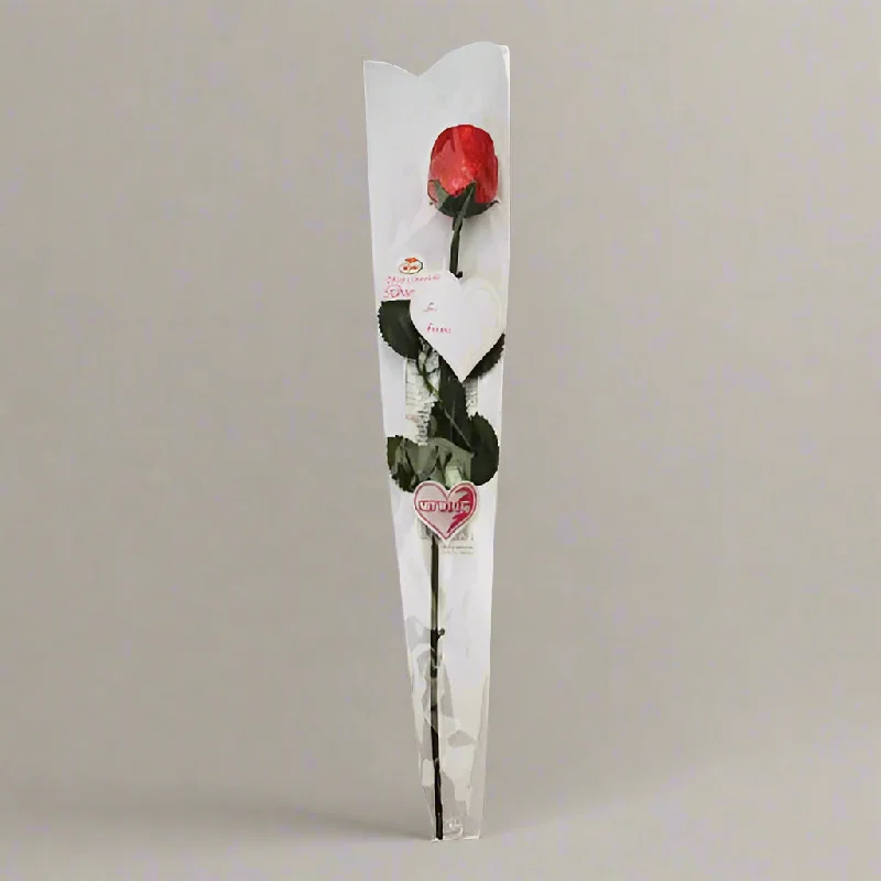 - Winter dog thick down jacketRose Valentines Chocolate Rose 18g