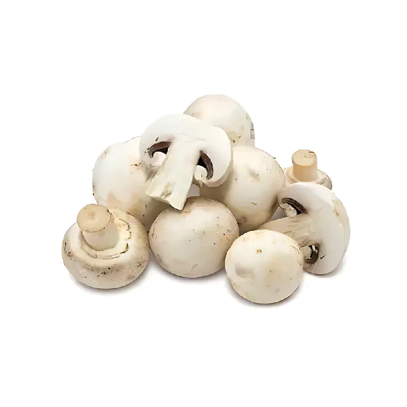 - ​​Pet toys under    yuanMushroom 150g