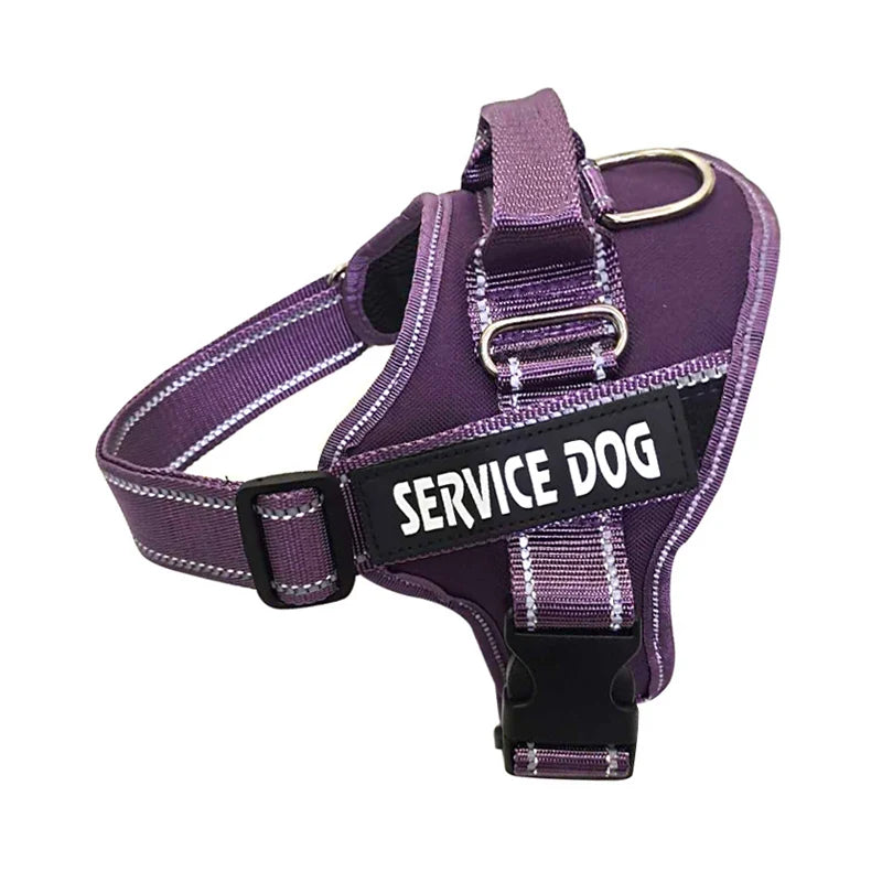Purple no name tag
