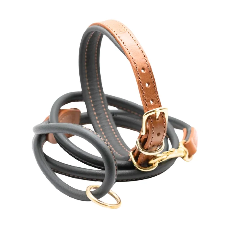 ---Tan & Racing Green Luxury Padded Leather Dog Collar and Rolled Lead Set by Dogs & Horses